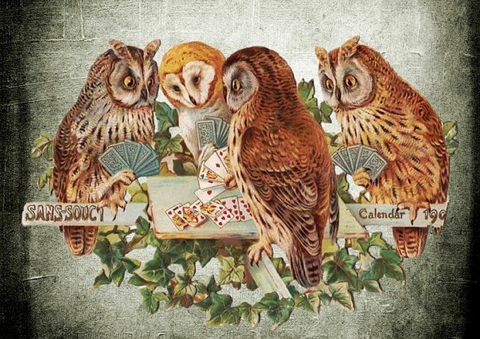 Owls Animal Background Vintage Template Grunge7